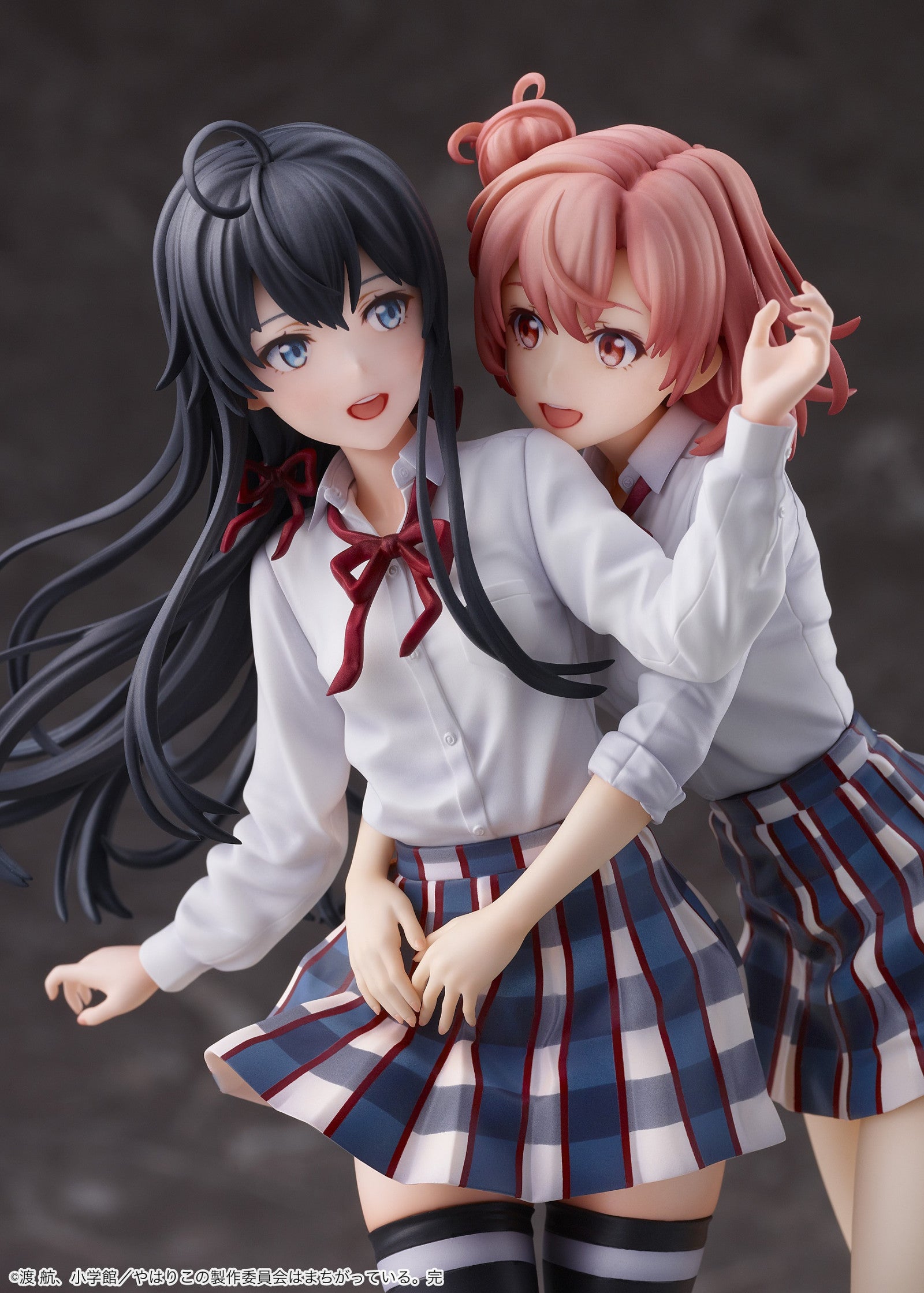 OreGairu Yukino Yukinoshita & Yuigahama Yui Ending Version Pre-Order